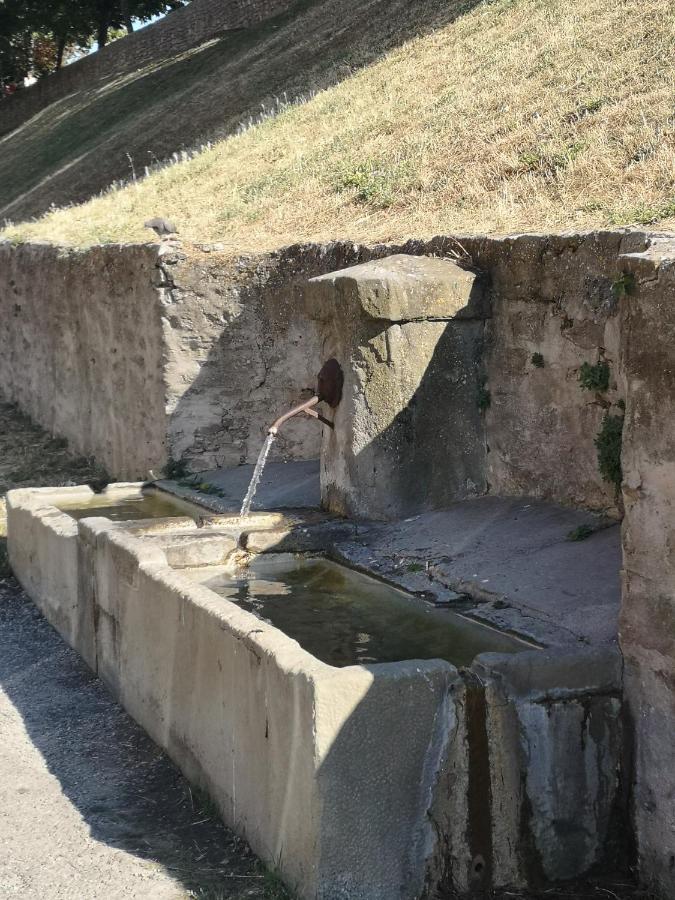 Studio Et Appartement A 2 Pas De La Cite Carcassone Kültér fotó